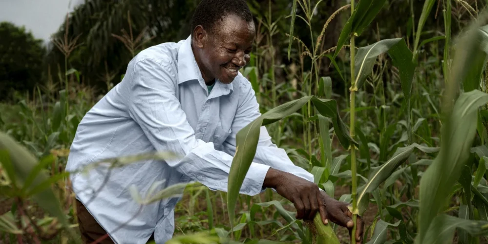 Production, transformation et distribution de produit agricole et d’élevage (5)