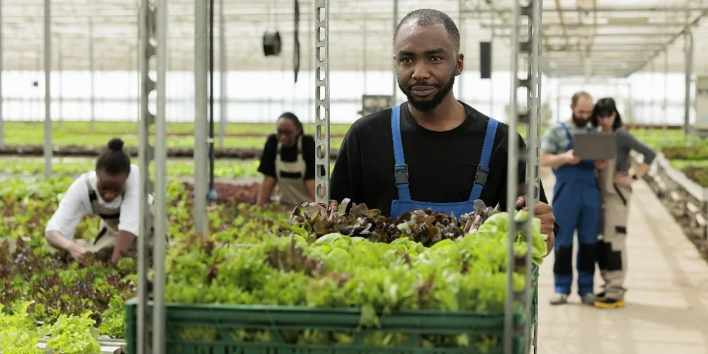 produit agricole