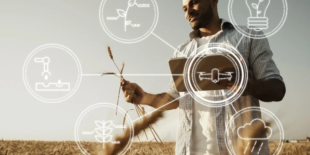 Production, transformation et distribution de produit agricole et d’élevage (7)